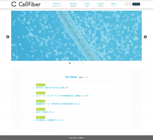 株式会社セルファイバ