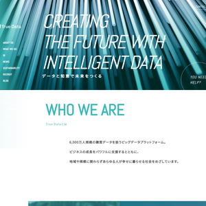 株式会社True Data