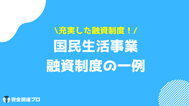 国金 融資制度