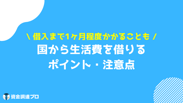 国から生活費を借りる ポイント 注意点