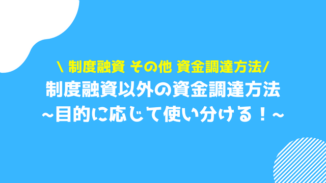 制度融資 その他 資金調達方法