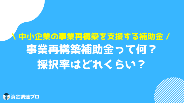 事業再構築補助金 申請代行 定義