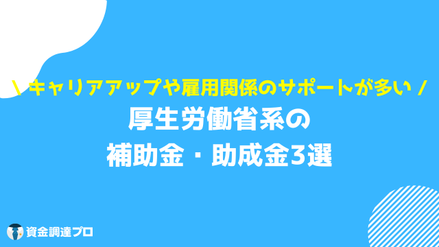 起業 補助金 起業家が申請できる補助金・助成金の種類②厚生労働省系