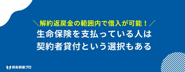 85歳まで 借りれるローン 生命保険