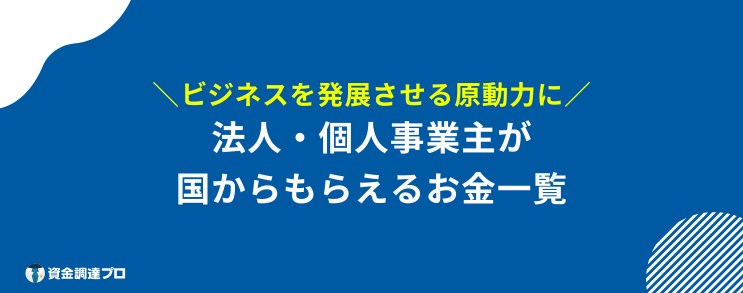 国からもらえるお金 法人 個人事業主