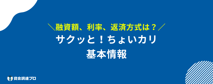 サクッとちょい借り とは