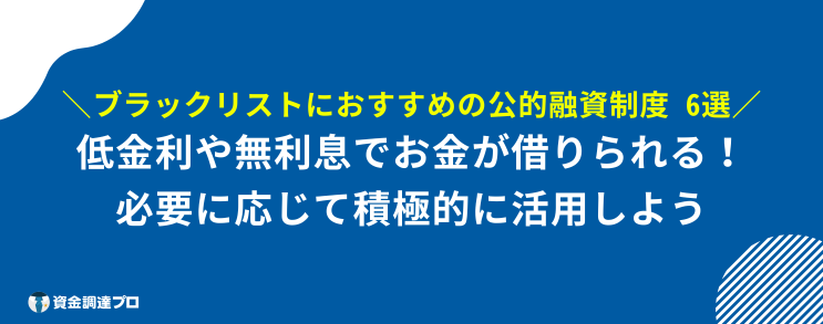 50万 借りる 審査なし ブラックリスト 公的融資制度