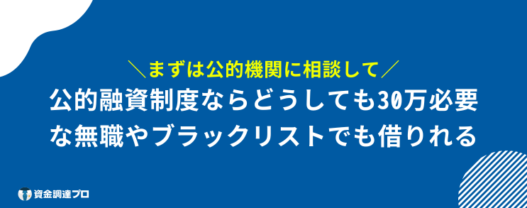 30万 借りる 審査なし 公的融資制度