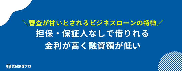 ビジネスローン 個人事業主 審査甘い 特徴