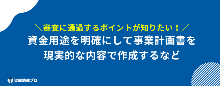 日本政策金融公庫 審査 甘い ポイント