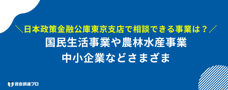 日本政策金融公庫 東京支店 相談