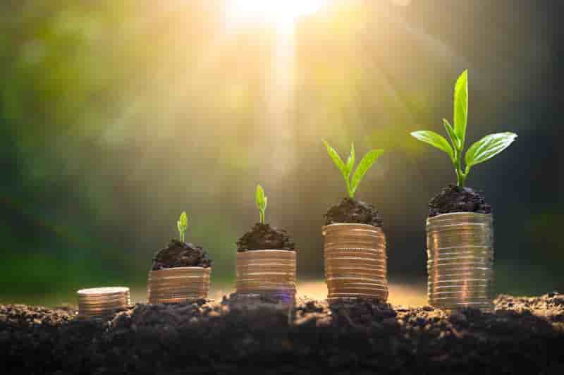 コインの上で植物が育っており、ビジネスの成長を示している