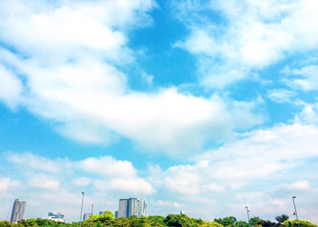 都会の緑と青空